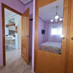 Alquilo 2 dormitorio apartamento de 56 m² en Elx / Elche