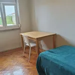 Rent a room in lisbon