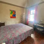 Rent 2 bedroom apartment of 30 m² in Fossano