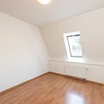 Pronajměte si 1 ložnic/e dům o rozloze 300 m² v Prague