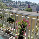 Rent 1 bedroom apartment in Winterthur