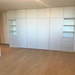 Rent 4 bedroom apartment of 120 m² in Lyon