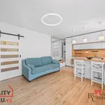 Pronajměte si 1 ložnic/e byt o rozloze 34 m² v Prague