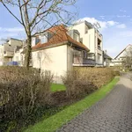 Rent 2 bedroom apartment of 55 m² in Dresden