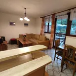 Rent a room of 220 m² in Pavlov