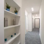 Rent 5 bedroom apartment in Milan