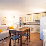 Rent 3 bedroom apartment of 65 m² in Pisa