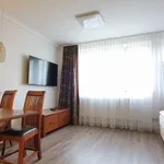 Rent 1 bedroom apartment in Prague