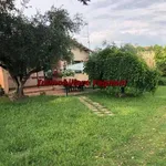 Rent 4 bedroom house of 90 m² in Velletri