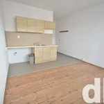 Pronajměte si 1 ložnic/e byt o rozloze 20 m² v Nové Sedlo u Lokte