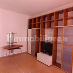 Rent 3 bedroom apartment of 80 m² in Bologna