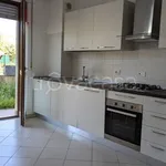 Rent 3 bedroom apartment of 72 m² in Chieti