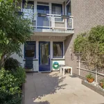 Rent 2 bedroom house of 65 m² in Breda