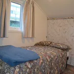 Rent 1 bedroom house in Dunedin