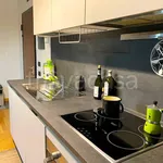 Rent 2 bedroom apartment of 60 m² in Milano