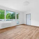 Rent 1 bedroom apartment of 75 m² in Brno