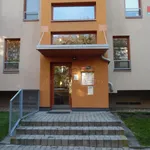 Rent 2 bedroom apartment of 45 m² in Rudná