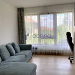 Rent 2 bedroom apartment of 54 m² in Prague