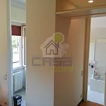 Rent 2 bedroom apartment of 35 m² in Cremona