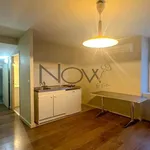  appartement avec 1 chambre(s) en location à Avignon