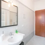 via vittorio veneto, Milan - Amsterdam Apartments for Rent