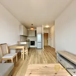 Rent 2 bedroom apartment of 38 m² in Wrocław