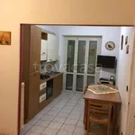 Rent 3 bedroom apartment of 75 m² in Torino