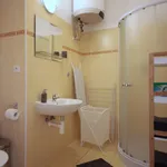 Rent 1 bedroom apartment of 36 m² in Prague