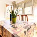 Rent 4 bedroom apartment in valencia