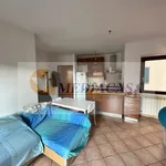 Rent 2 bedroom apartment of 50 m² in Rome