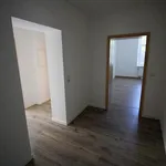 große 2 Zimmer Wohnung mit geräumigen Bad und EBK in Oelsnitz/ Vogtl.