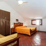 Rent 2 bedroom apartment of 50 m² in Marsala