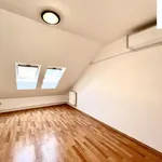 Rent 3 bedroom apartment of 105 m² in Plzeň