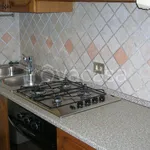 Rent 2 bedroom apartment of 60 m² in Imola