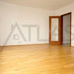 Rent 2 bedroom apartment of 58 m² in Prague