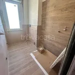 Rent 3 bedroom apartment of 80 m² in Nettuno