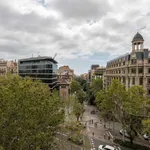 Rent a room of 150 m² in barcelona