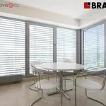 Rent 3 bedroom apartment of 195 m² in Brno