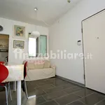 Rent 3 bedroom apartment of 60 m² in Pisa