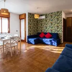 Rent 1 bedroom apartment of 35 m² in Udine