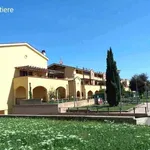 Rent 4 bedroom apartment of 45 m² in Grosseto