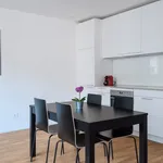 Rent 1 bedroom apartment of 560 m² in Basel