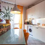 Rent a room of 90 m² in milan