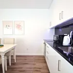 Rent 1 bedroom apartment in lisbon