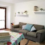 Rent 2 bedroom apartment of 53 m² in Venaria Reale