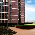 Rent 2 bedroom apartment in Yorkshire And The Humber