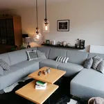 Rent 2 bedroom apartment in Wetteren