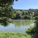 Rent 3 bedroom apartment of 80 m² in Turin