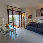 Rent 2 bedroom apartment of 40 m² in Roma