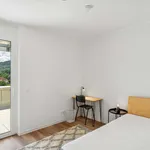 Rent a room of 57 m² in Graz